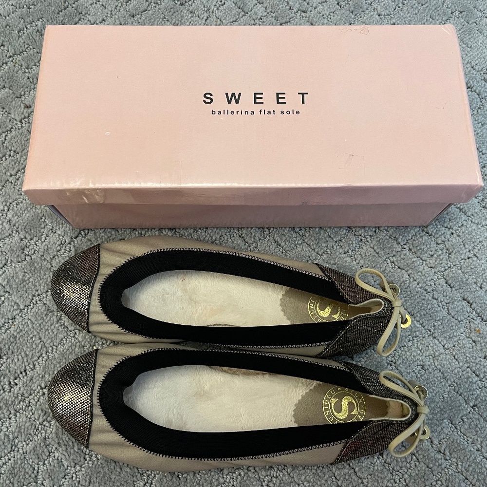 Flat shoes Never worn size 6.5